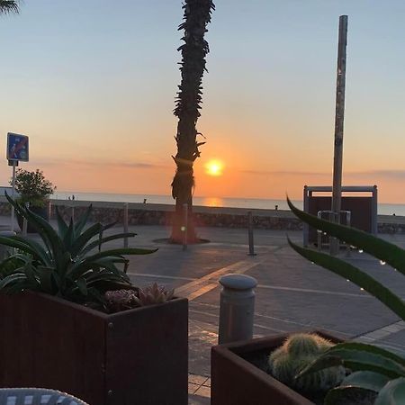Suite 21 - Clim - Front De Mer Canet-en-Roussillon Kültér fotó