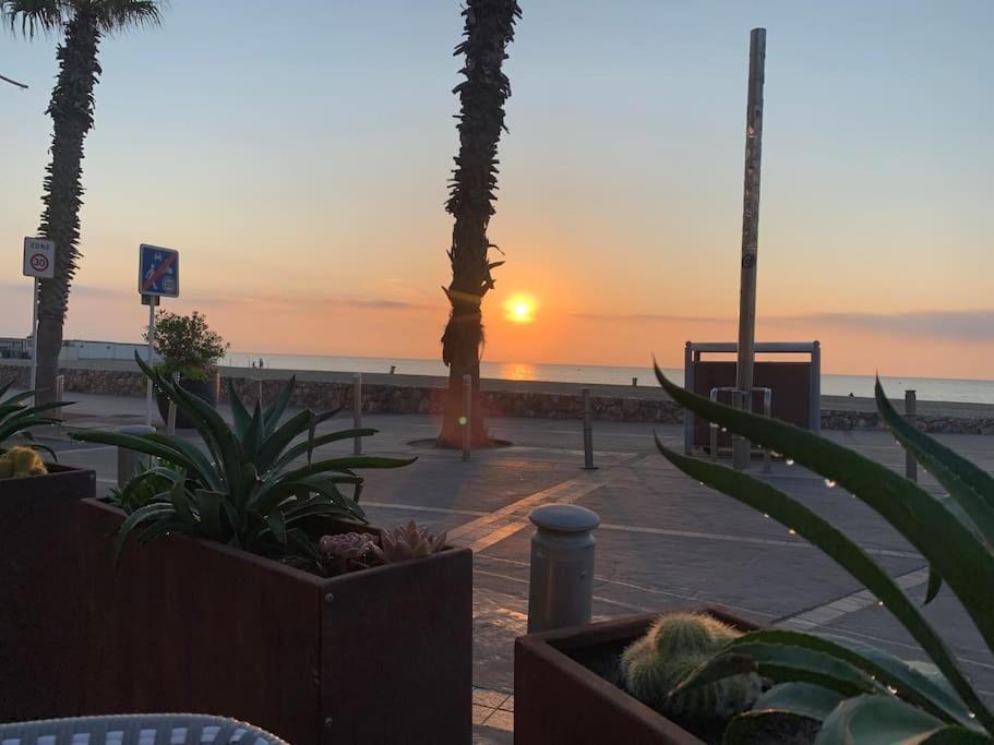 Suite 21 - Clim - Front De Mer Canet-en-Roussillon Kültér fotó